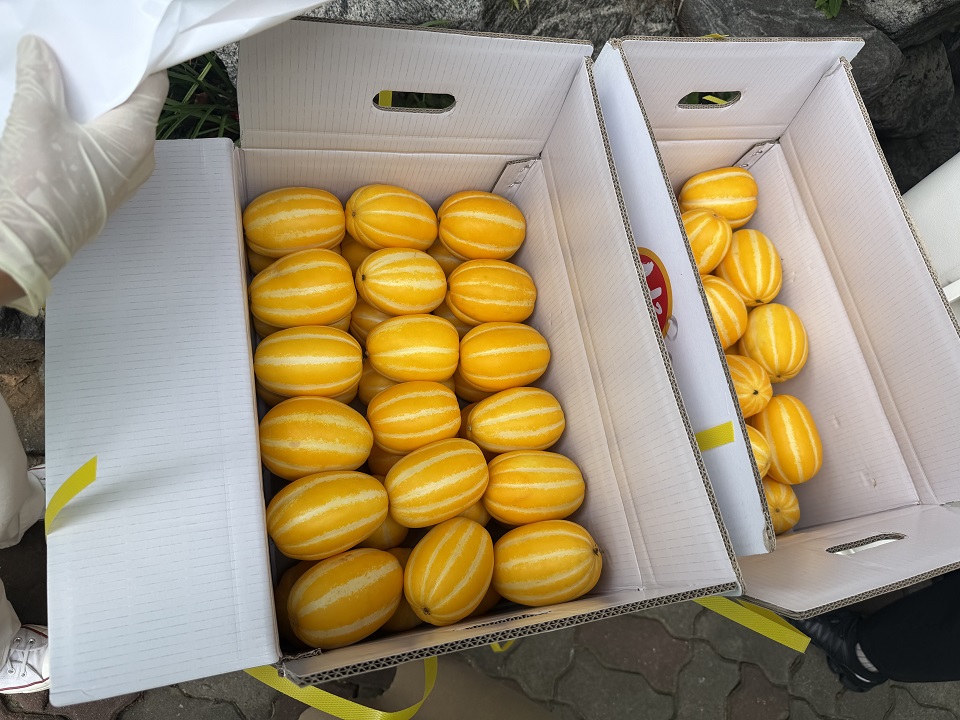 KakaoTalk_20260716_094242306_10.jpg